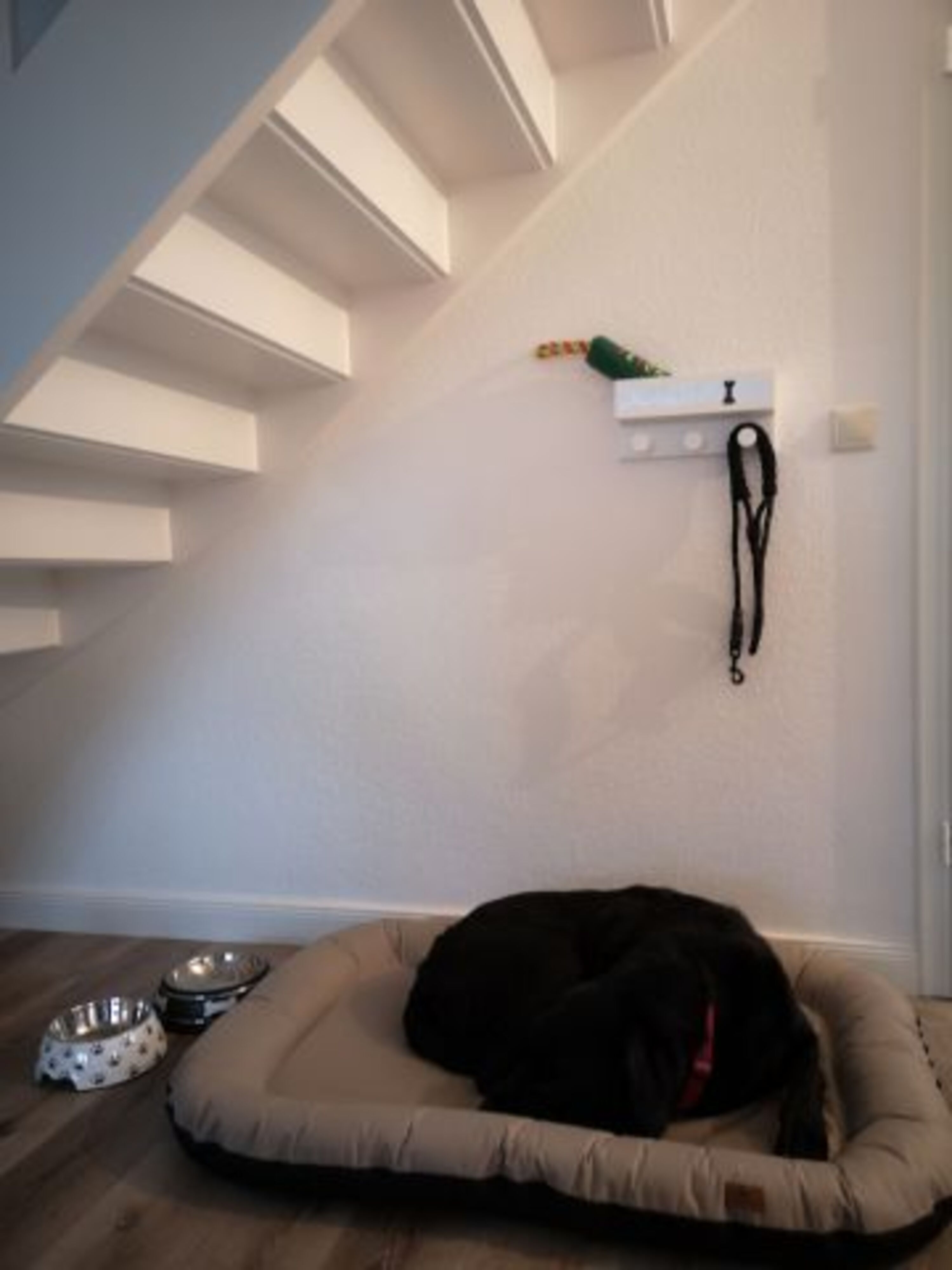 Hundebett Dogstation für Ihren Liebling