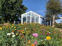 Ferienhaus mit Kamin, Sauna, Wintergarten, Zaun, Wlan