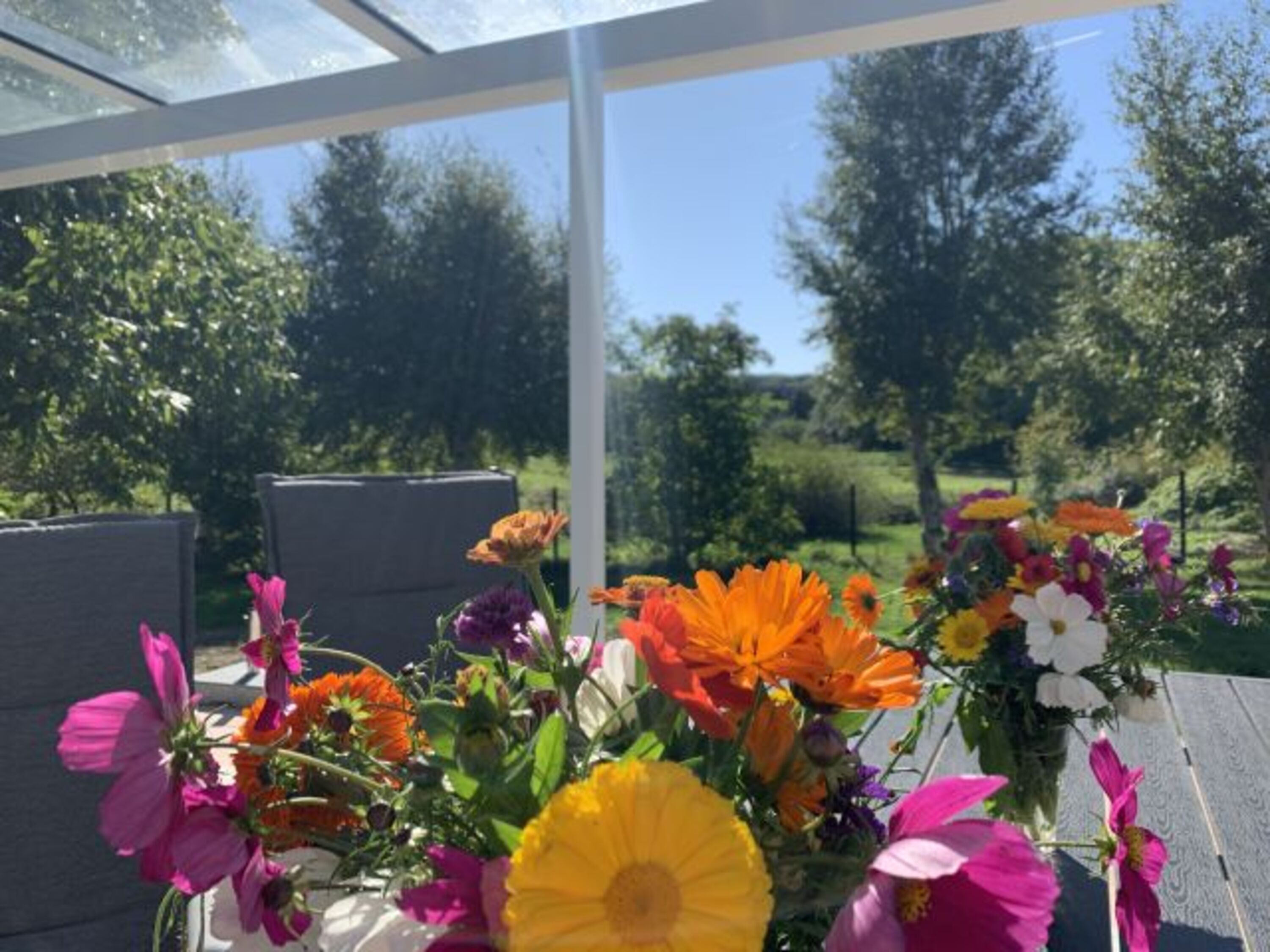 Bild 18