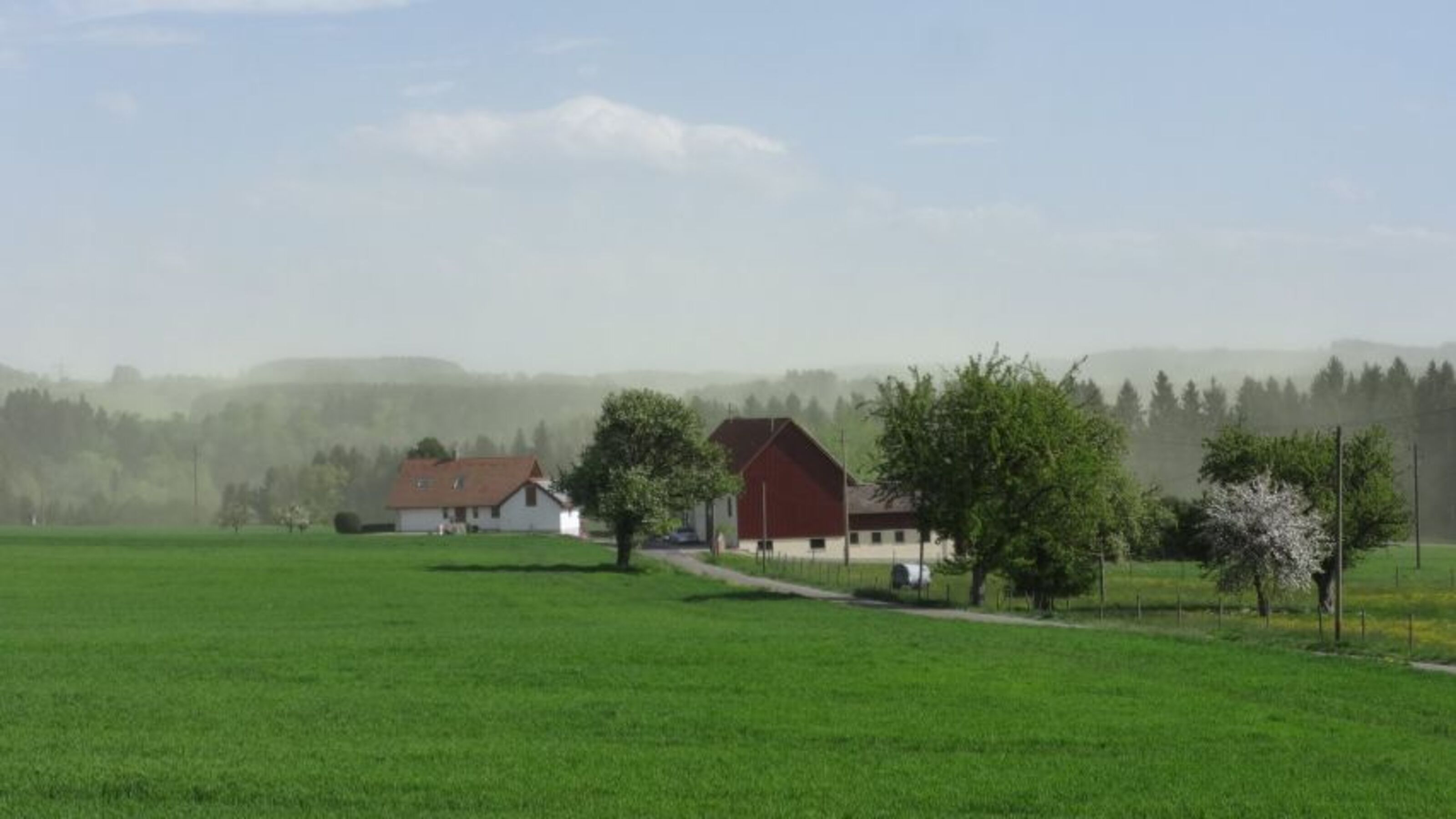 Bild 20
