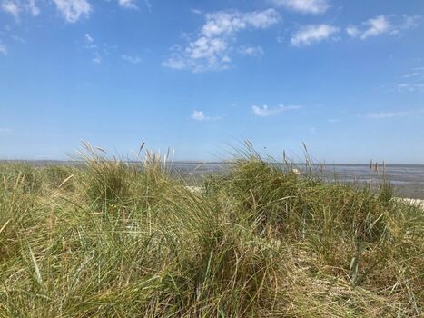 Blick aus den Dünen auf das Wattenmeer