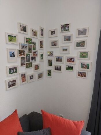 Die Wall of Wuff (März 2023)