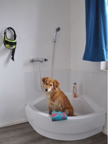 Hundedusche mit Meggy