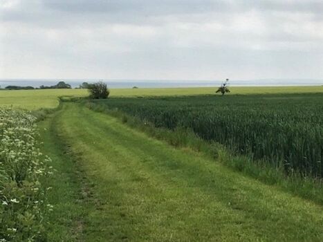 Der Gehweg zum Strand