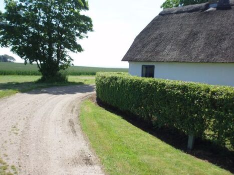 Das Haus gesehen von dem Weg