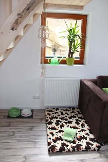 das kuschelige Hundebett