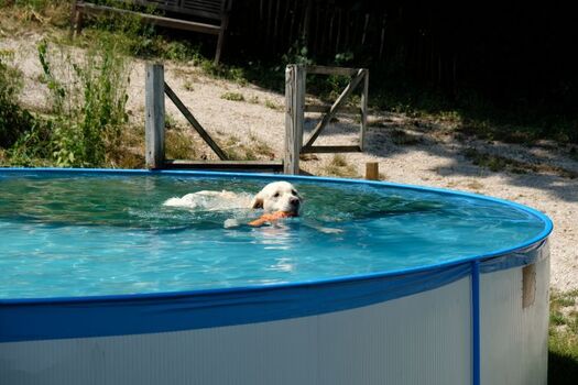Spritzige Abkühlung in unserem Hundepool
