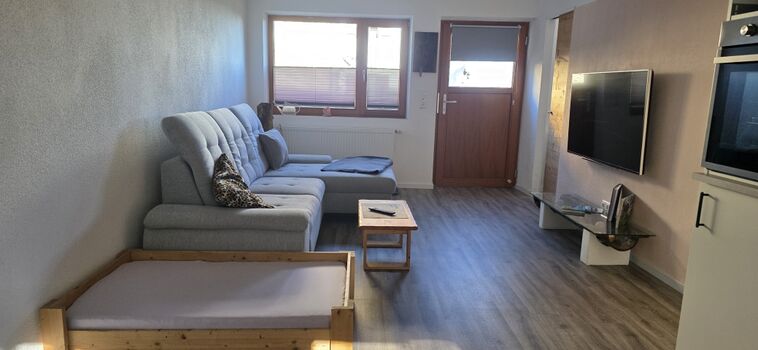 Entspannte Stunden auf dem gemütlichen Sofa