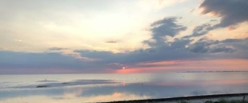 ...die schönsten :-)