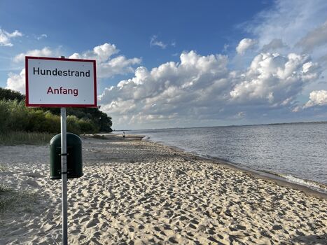 Hundestrand Krautsand