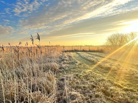 Unsere Hundewiese im Winter