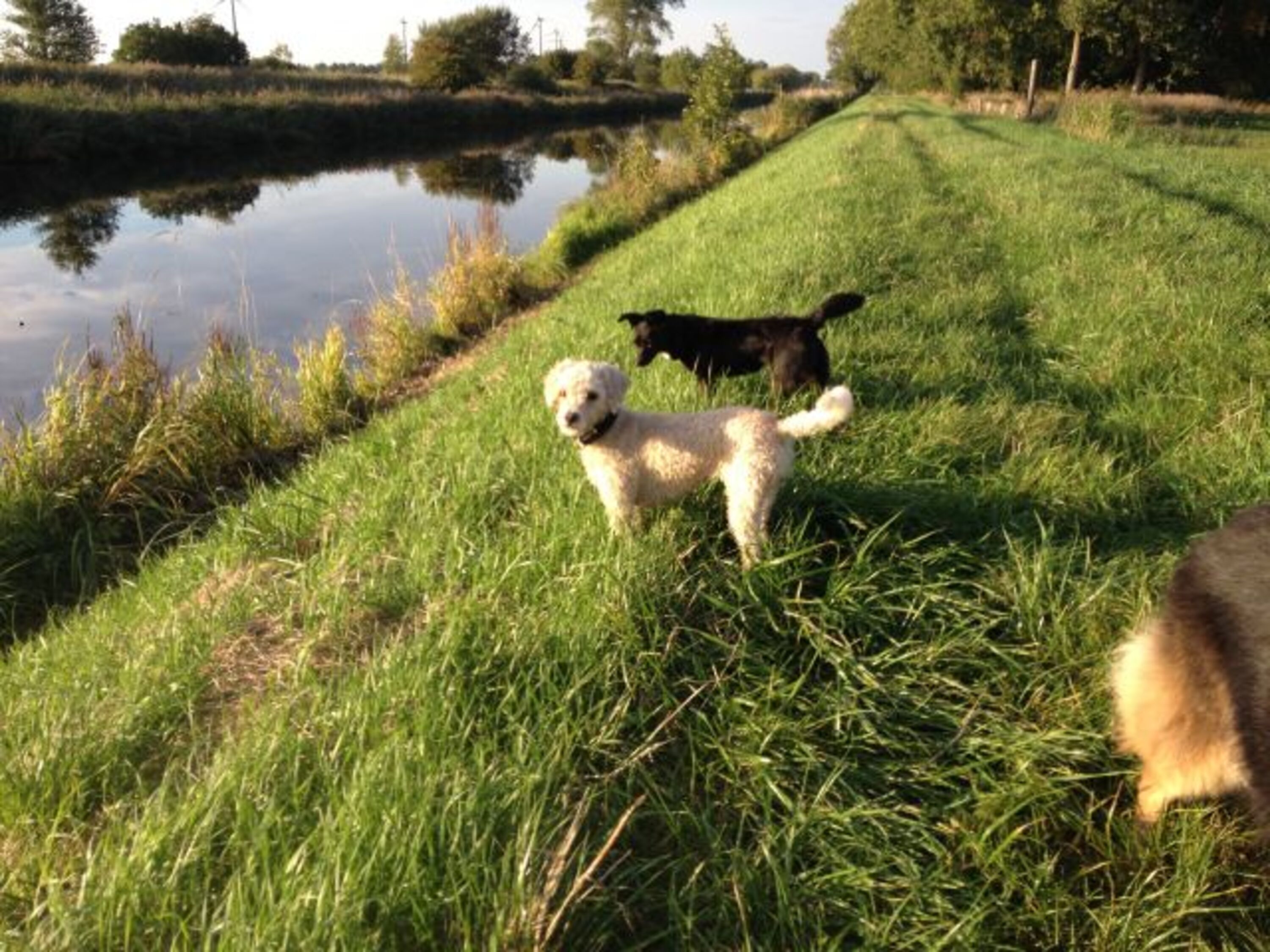 Am Hadelner Kanal
