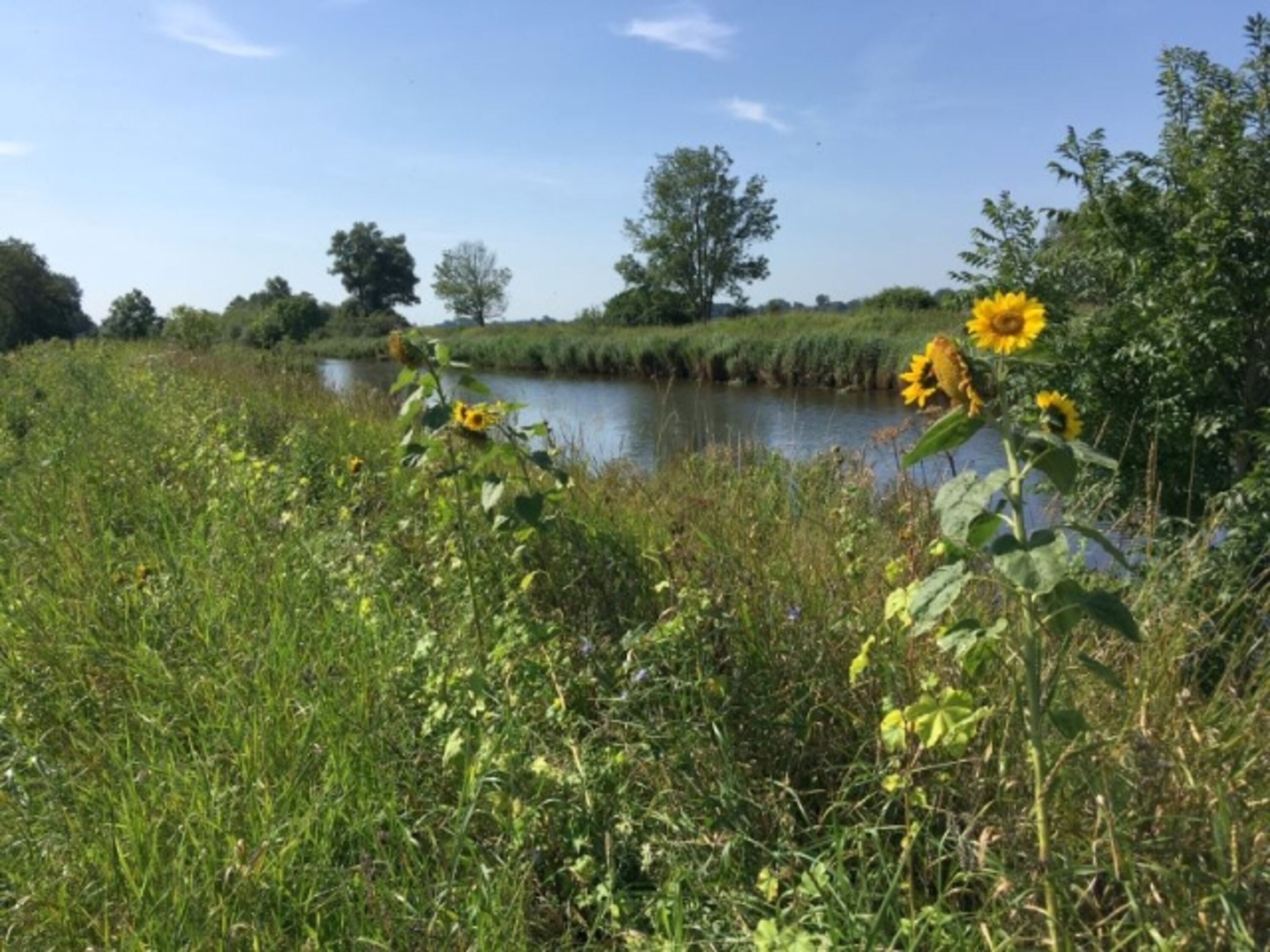 am Hadelner Kanal