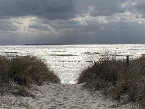 Schöner Blick auf die Frühjahrsstimmung am Strand zum Hundespaziergang