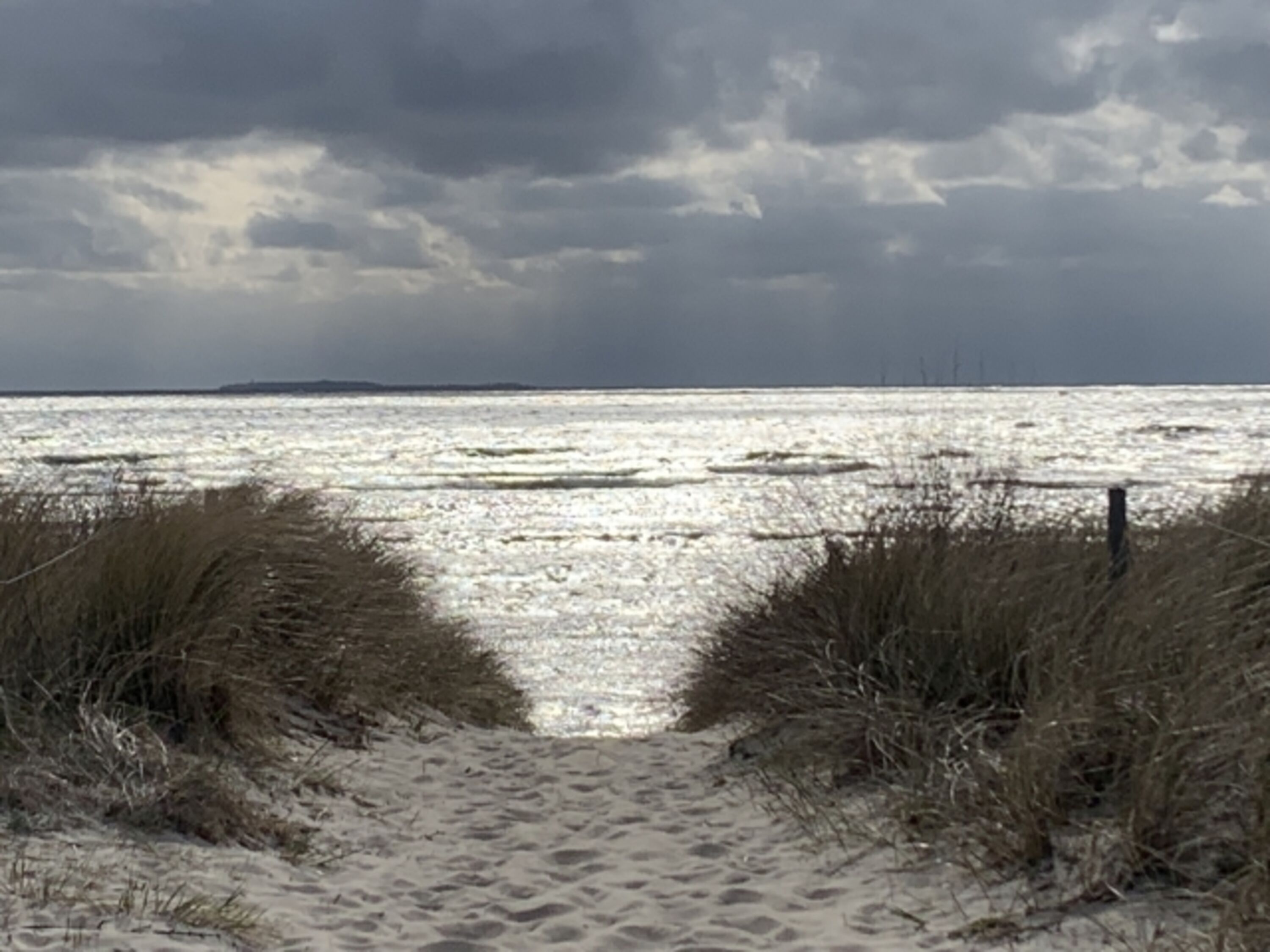 Schöner Blick auf die Frühjahrsstimmung am Strand zum Hundespaziergang
