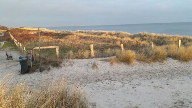 Herbstimpression Klosterseestrand 