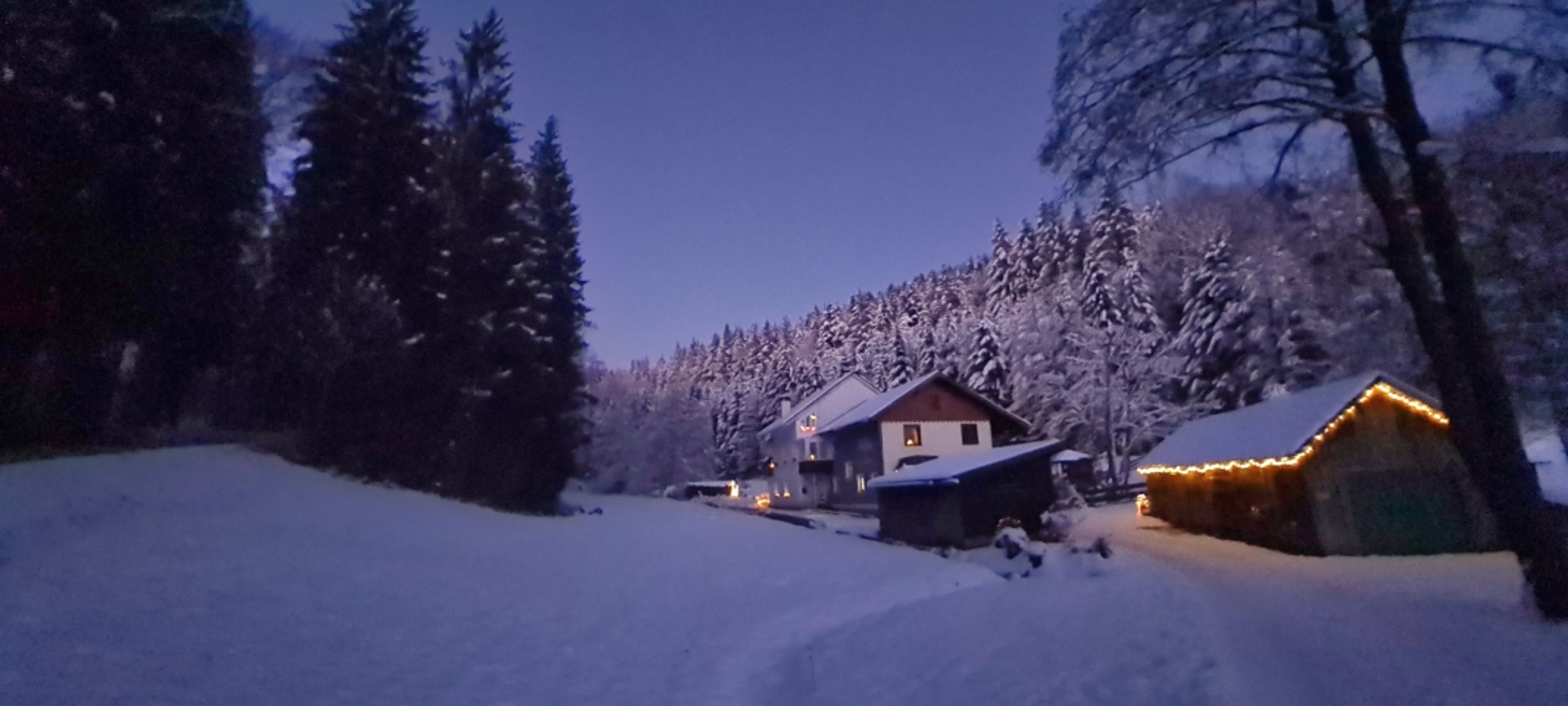 Wintermagie am Wald Kobel 