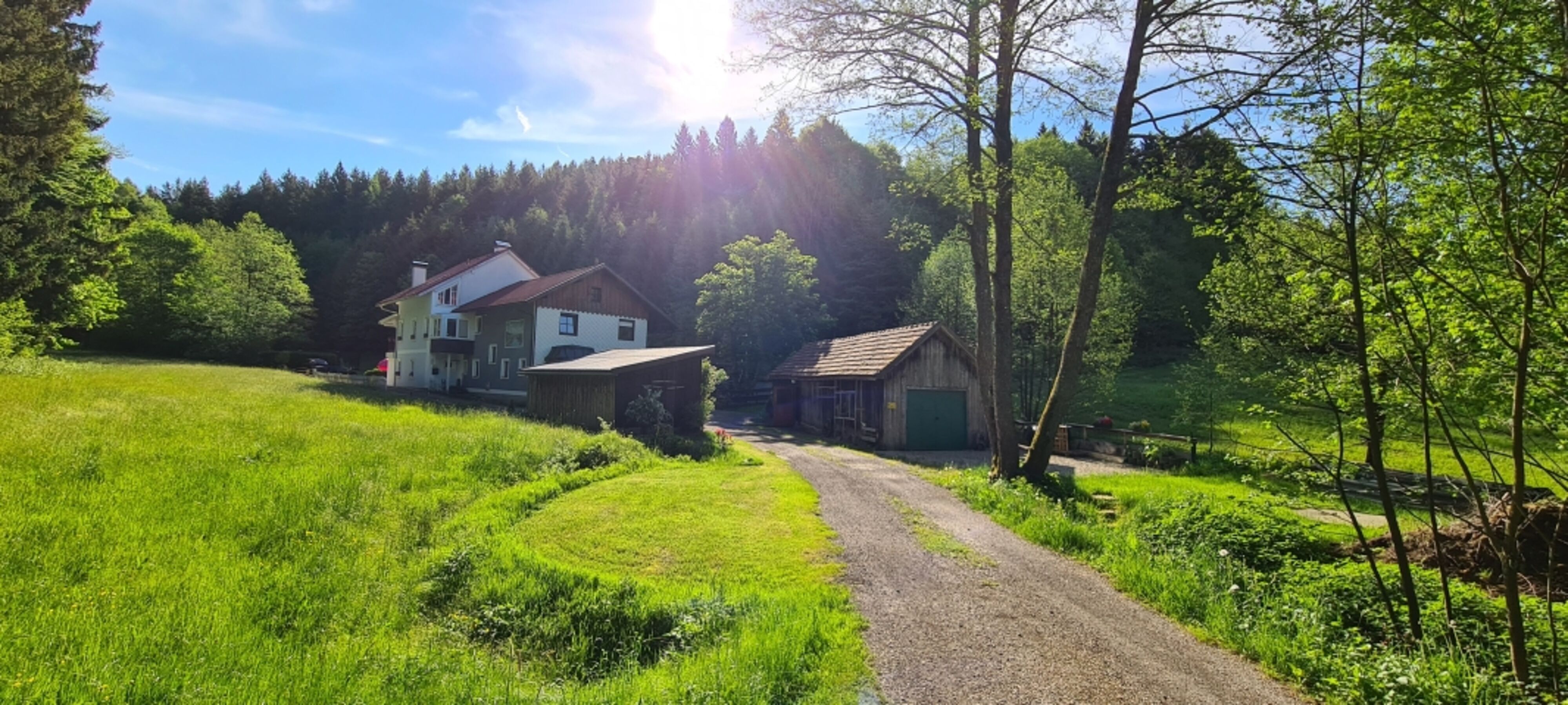 Wald Kobel Hof 