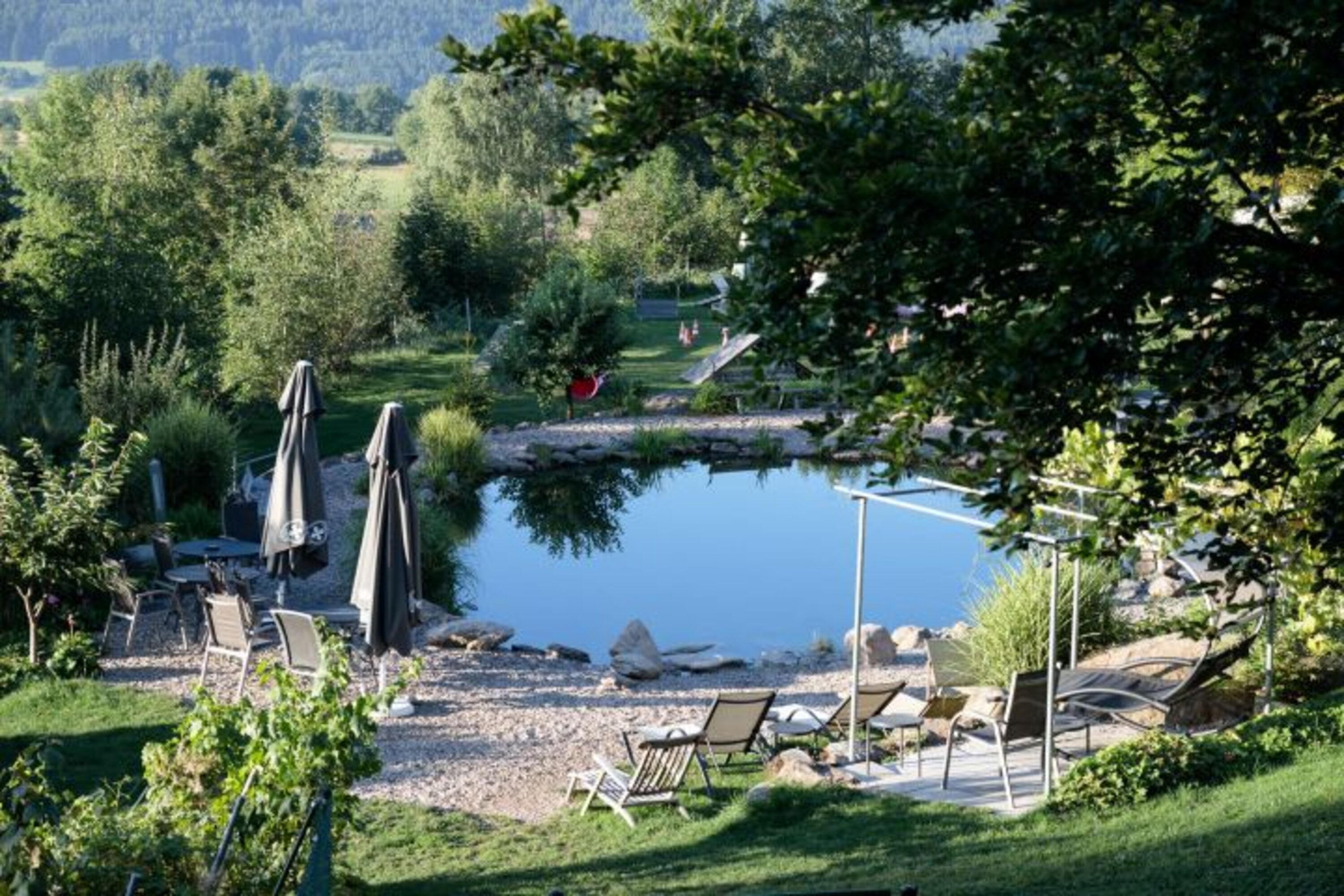 Schwimmteich