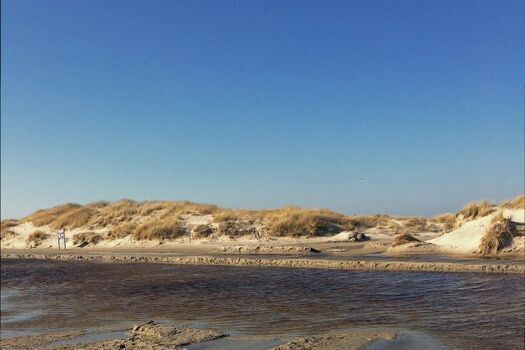Düne bei St. Peter Ording
