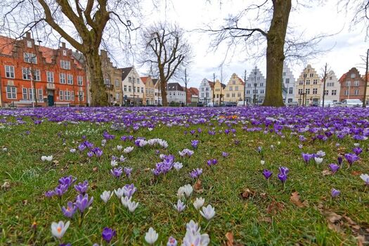 Frühling in Friedrichstadt