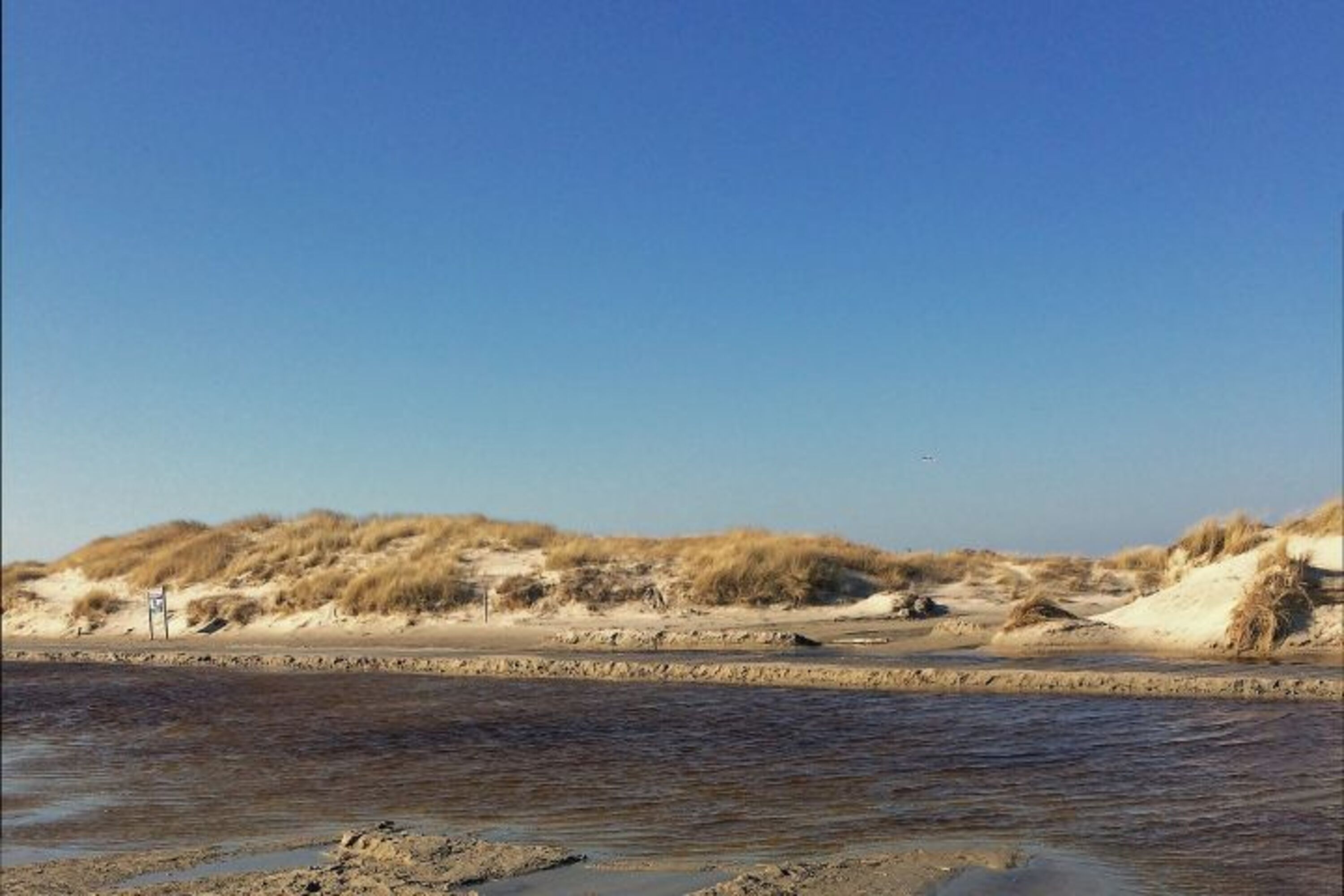 Düne bei St. Peter Ording