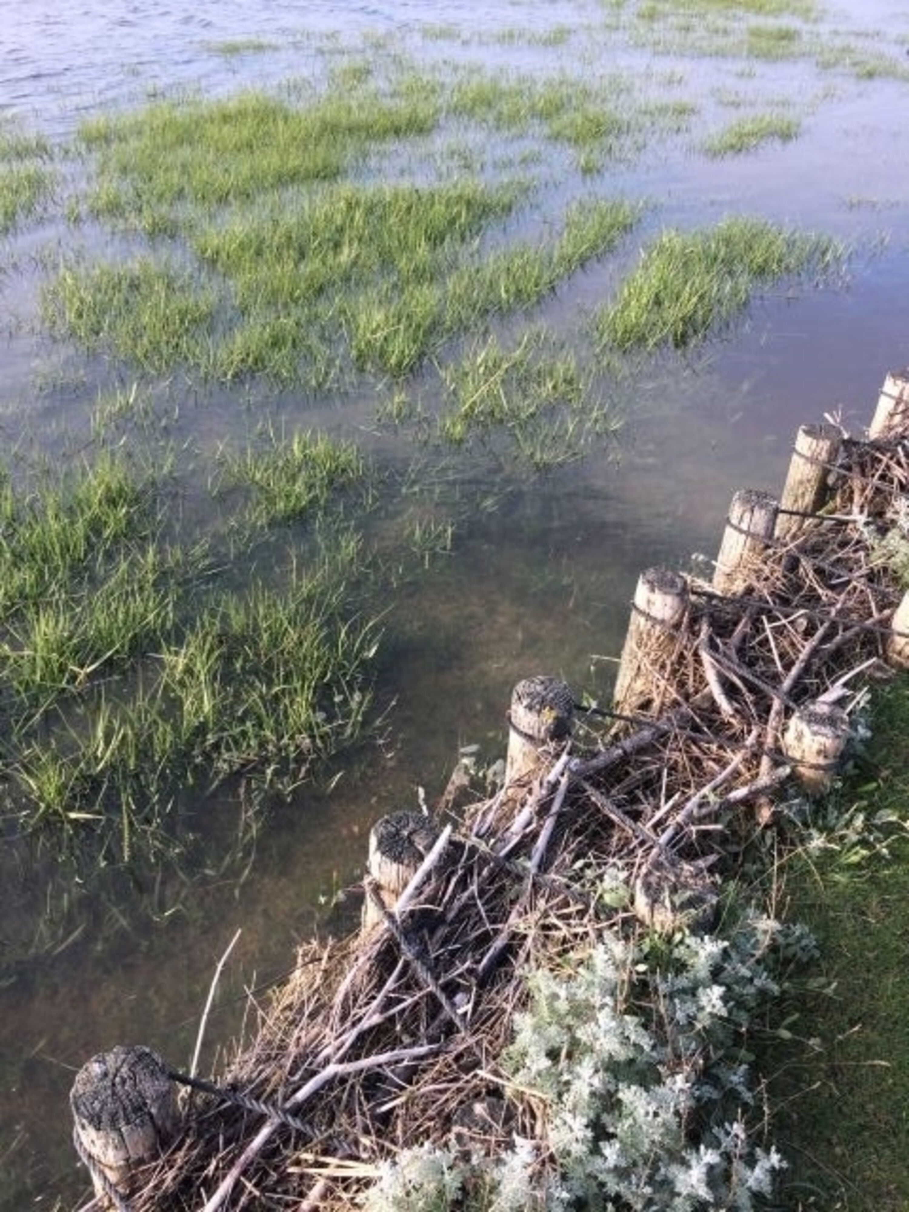 am Wattenmeer