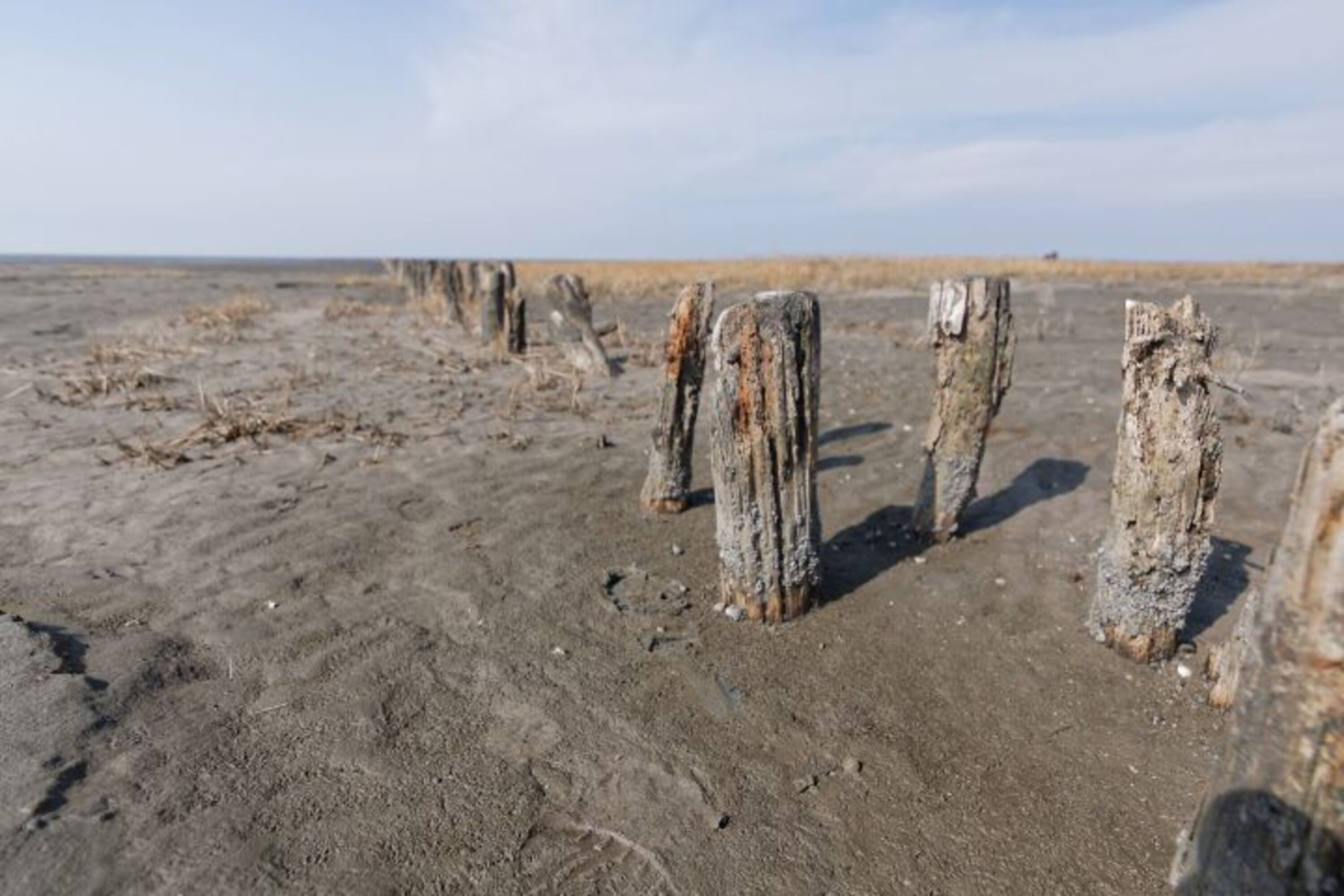 Wattenmeer