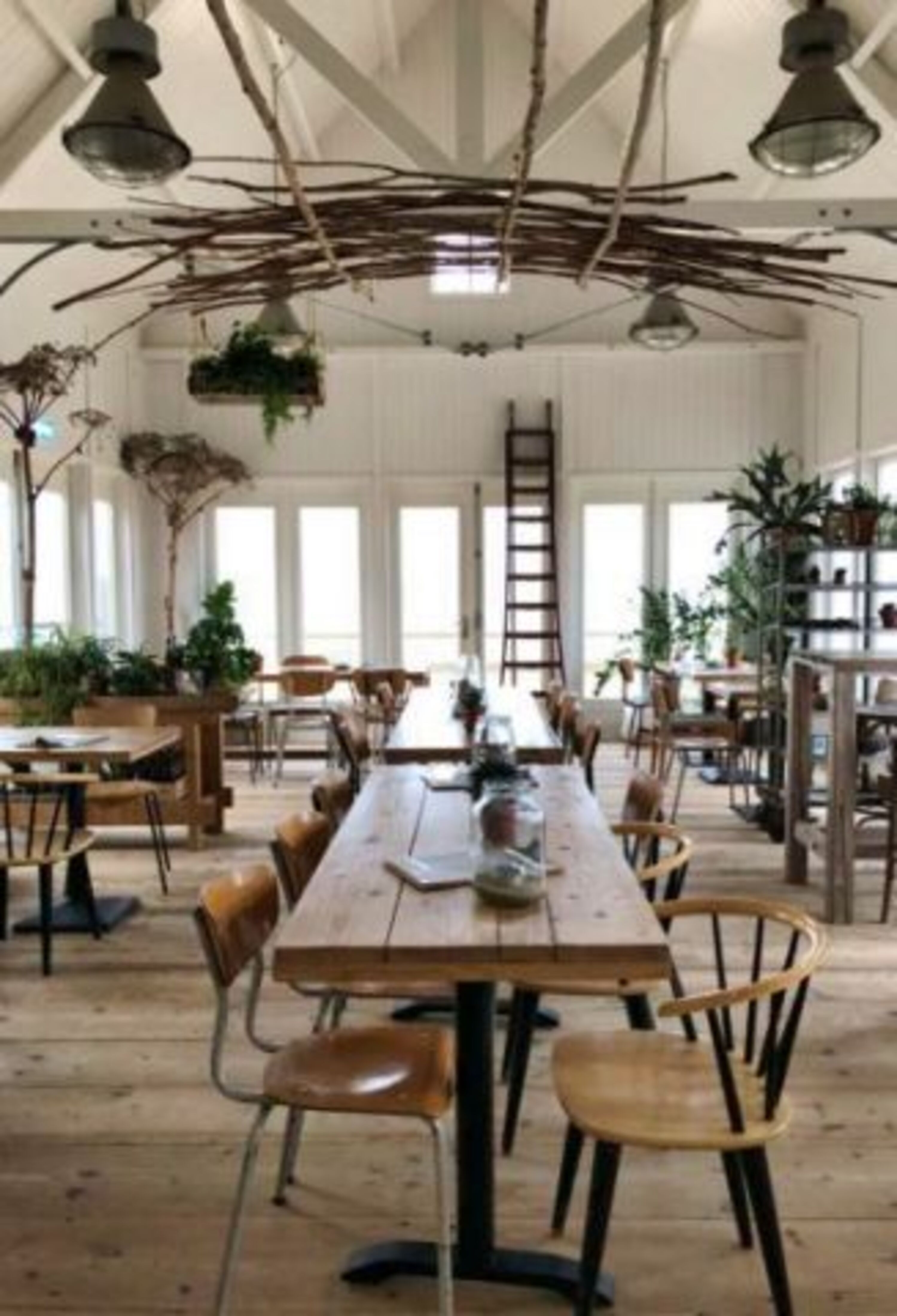 Restaurants direkt am Strand