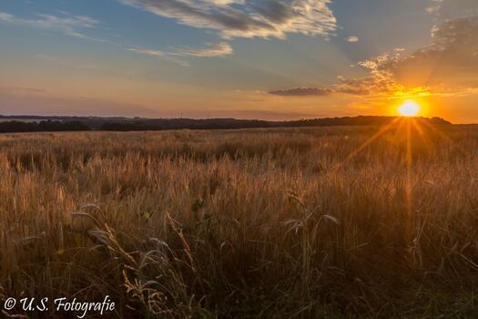 Wandern auf der Hochebene