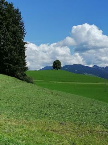 Allgäuer Landschaft