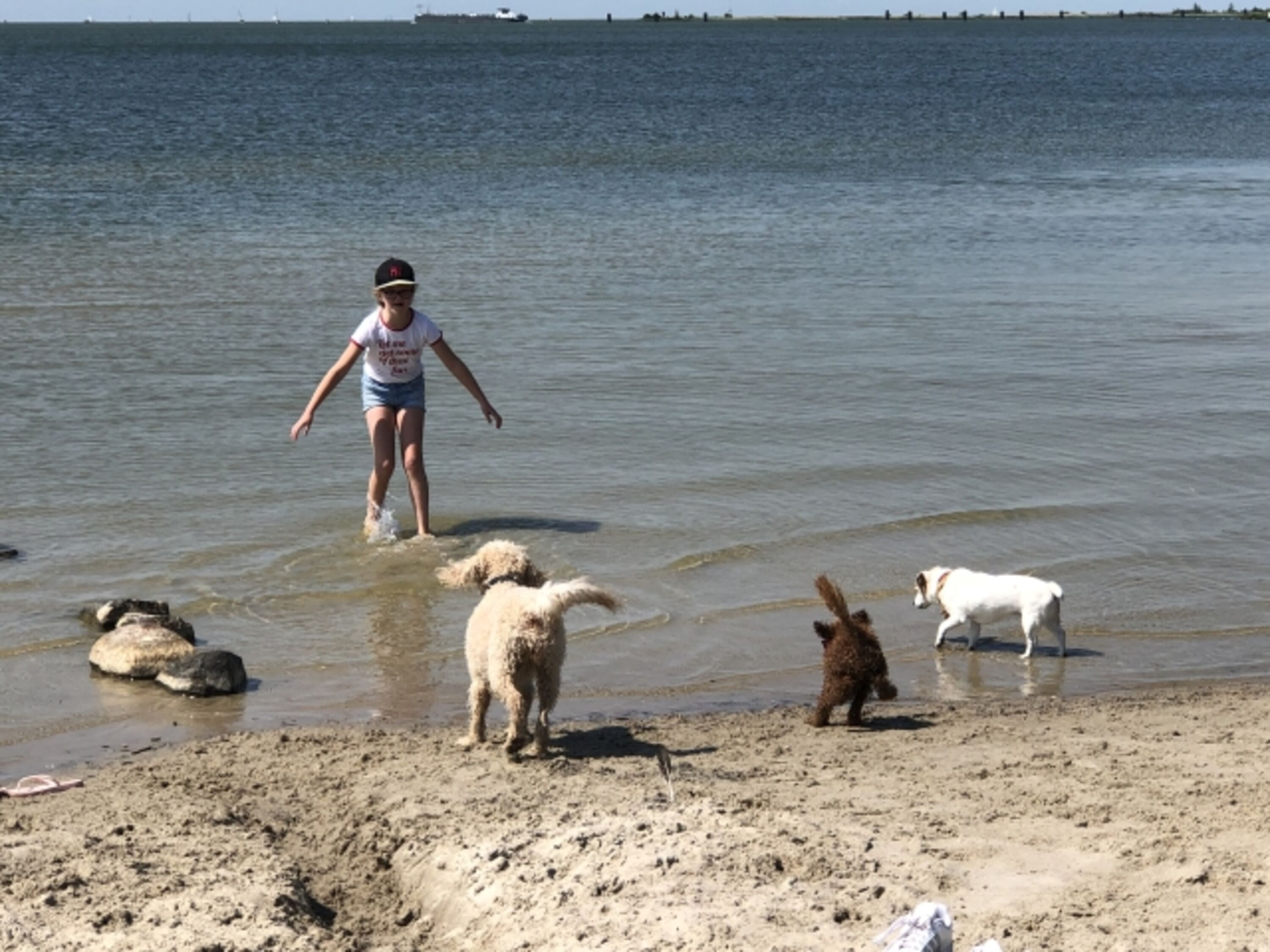 Hundestrand ganzes Jahr geoeffnet