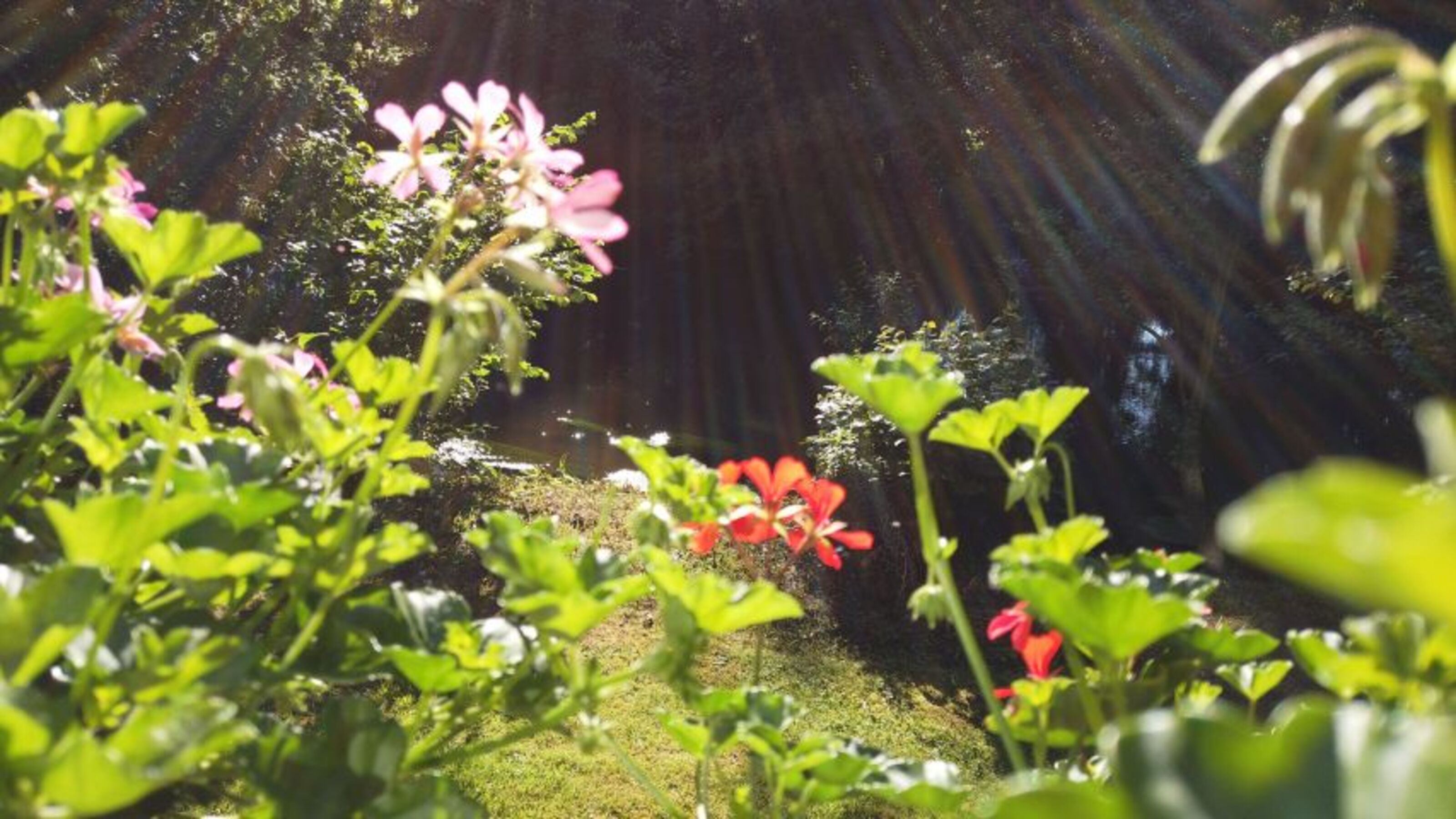 Bild 20