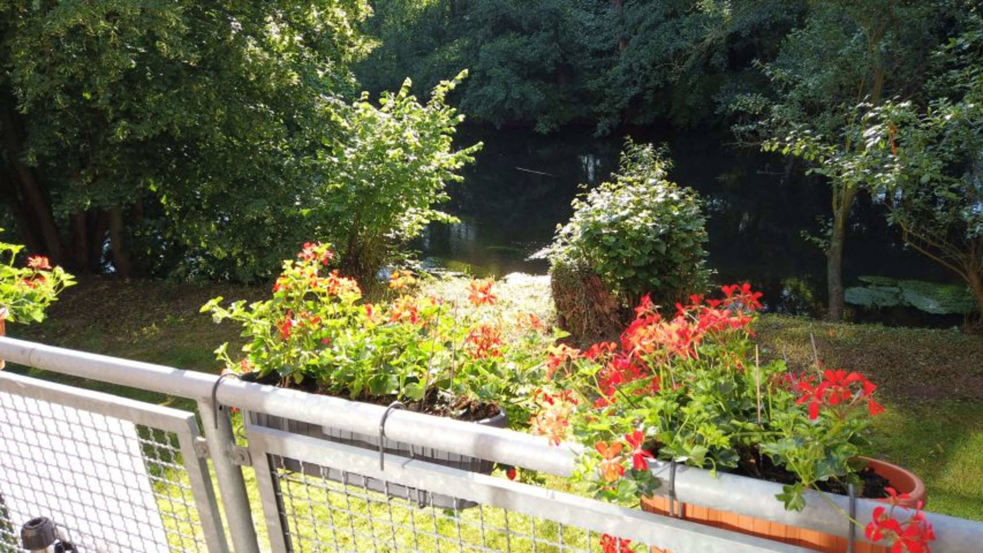 Bild 17