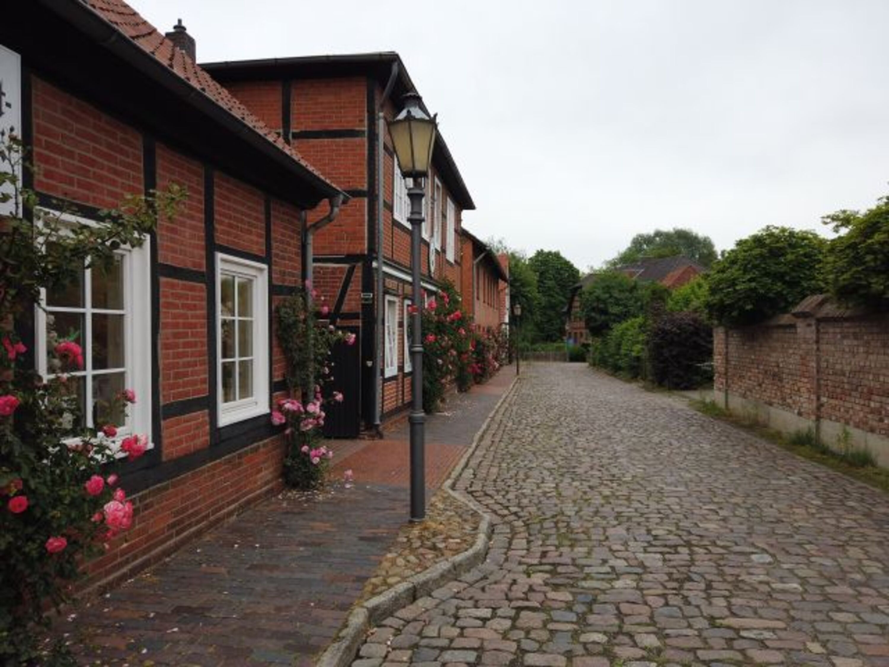 Bild 15