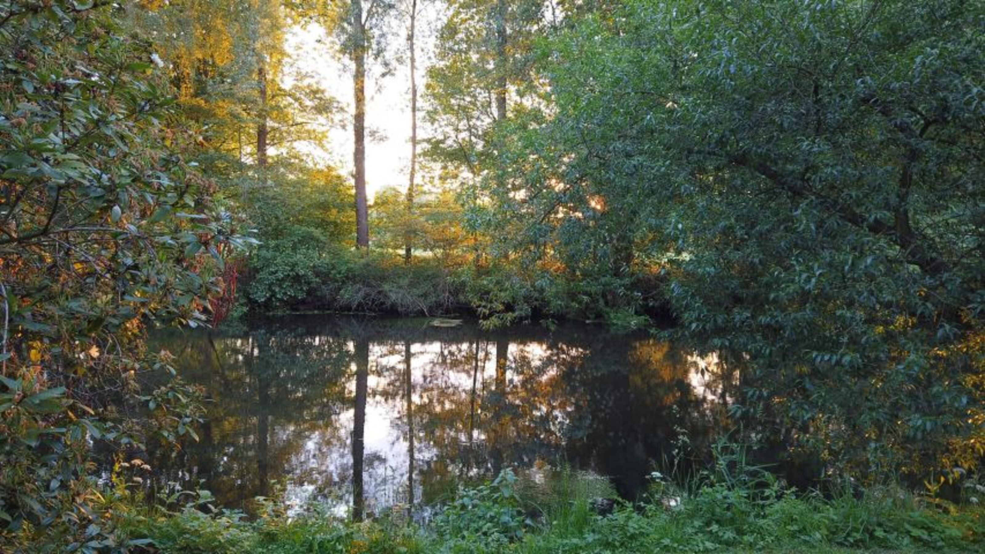 Bild 16