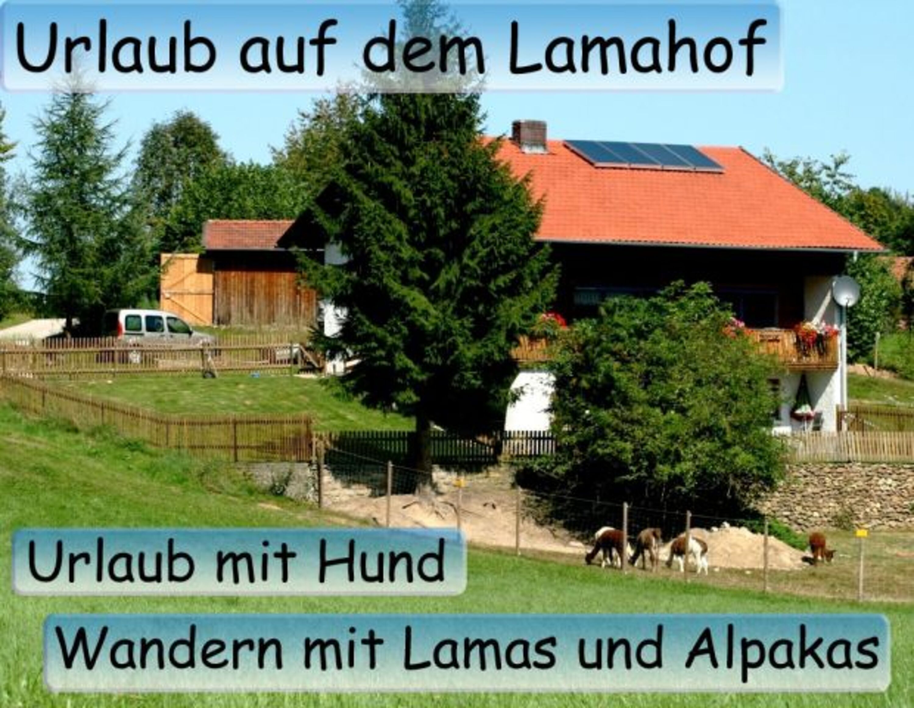 Im Sommer