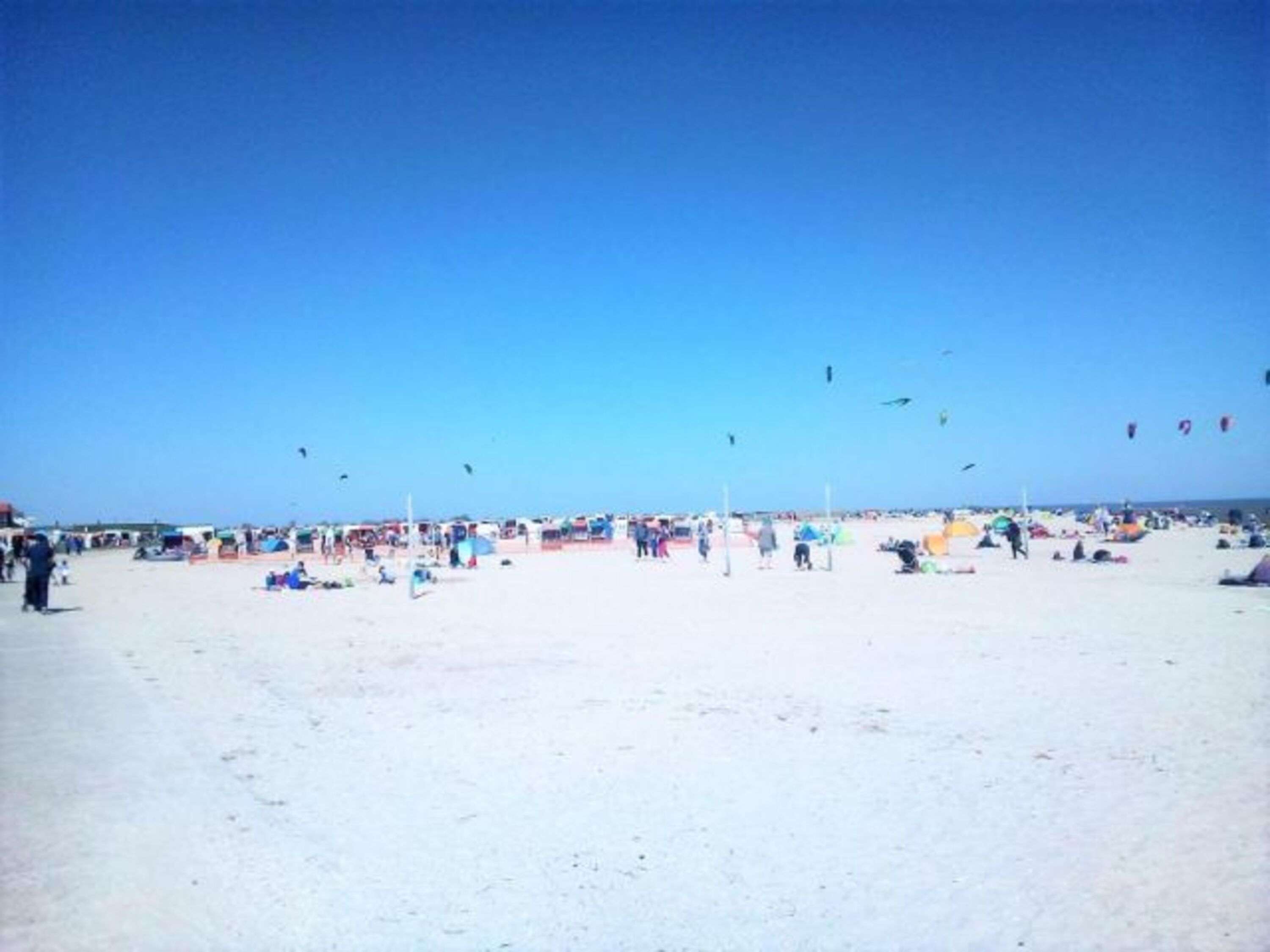 Drachensteigen lassen am Strand