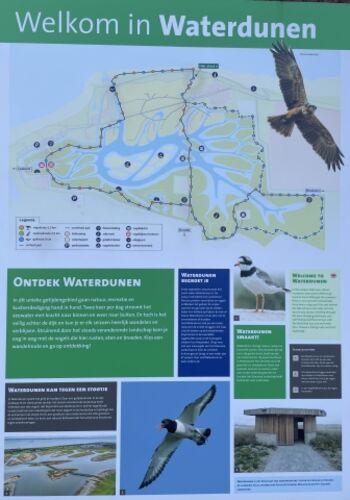 Waterdunen Naturschutzgebiet 