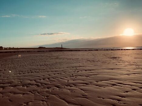 Ein Paradies für Mensch und Tier