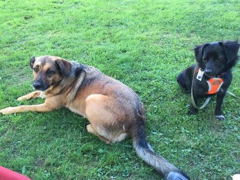 Die Gasgeber Emmi und Fine