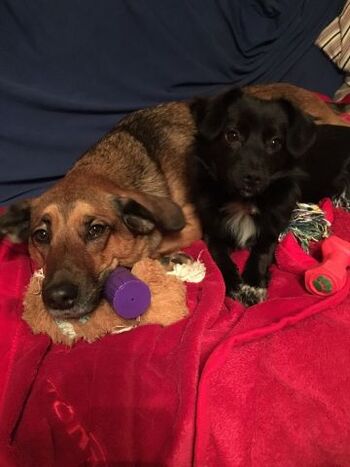 Die Gastgeber Emmi und Fine