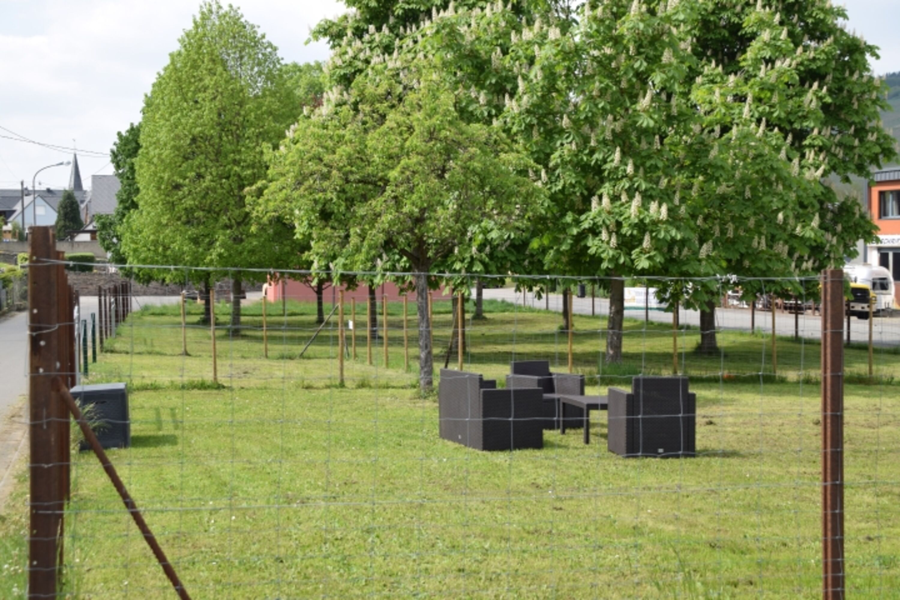 Hundewiese