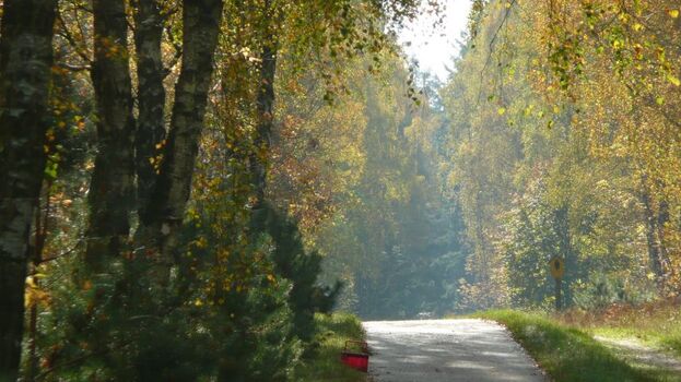 Der Bikrenweg Richtung Dago