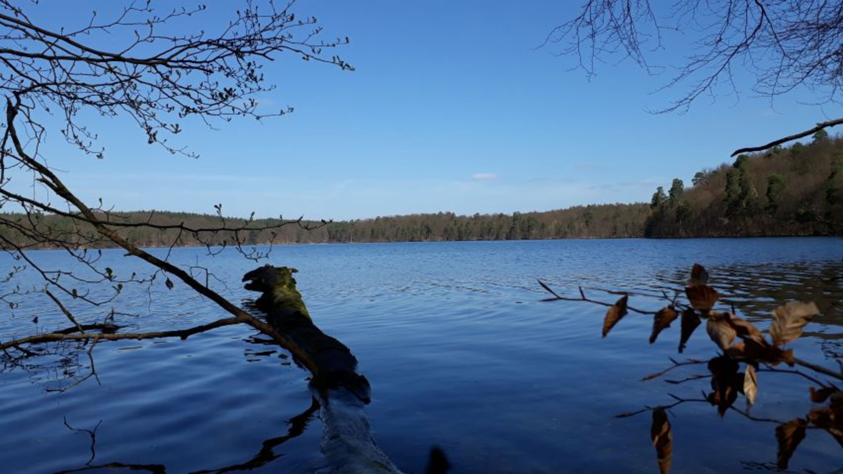 Der Stechlin
