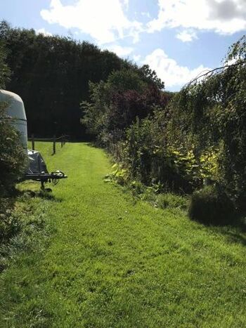 direkter Waldzugang/Hundewiese