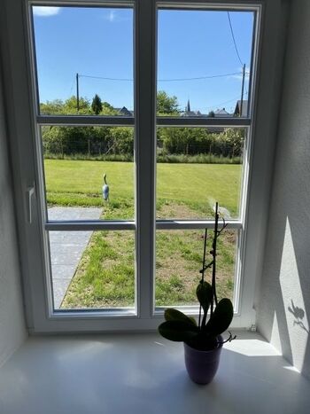 Blick aus dem Wohnzimmer