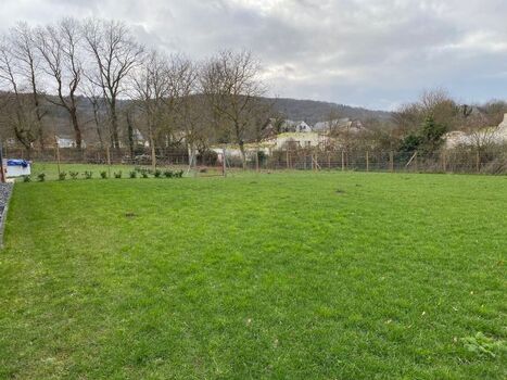 200 m2 Wiese komplett eingezäunt