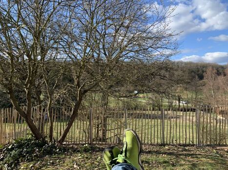 Aussicht Kleines Jagdhaus