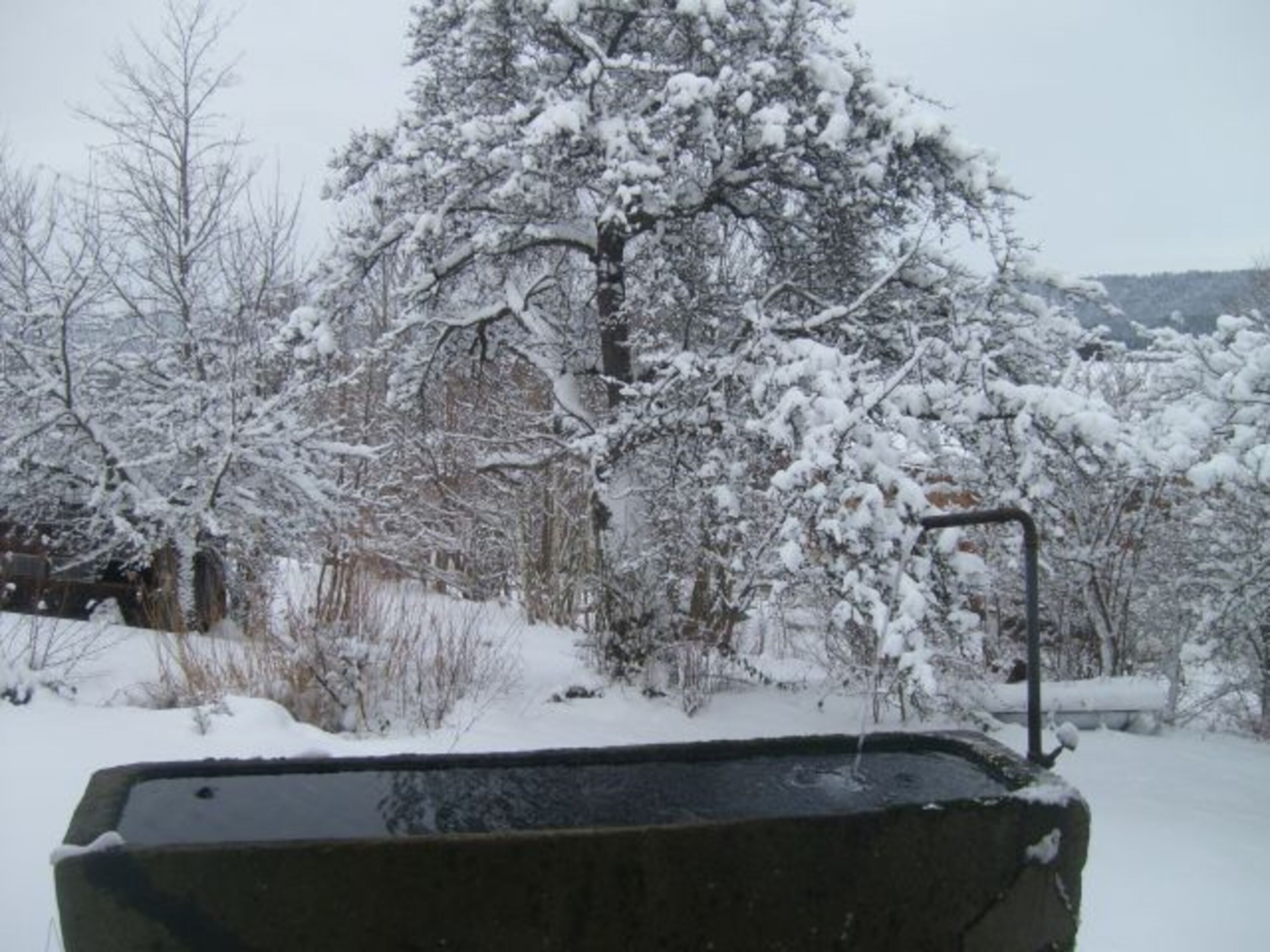 Bild 16